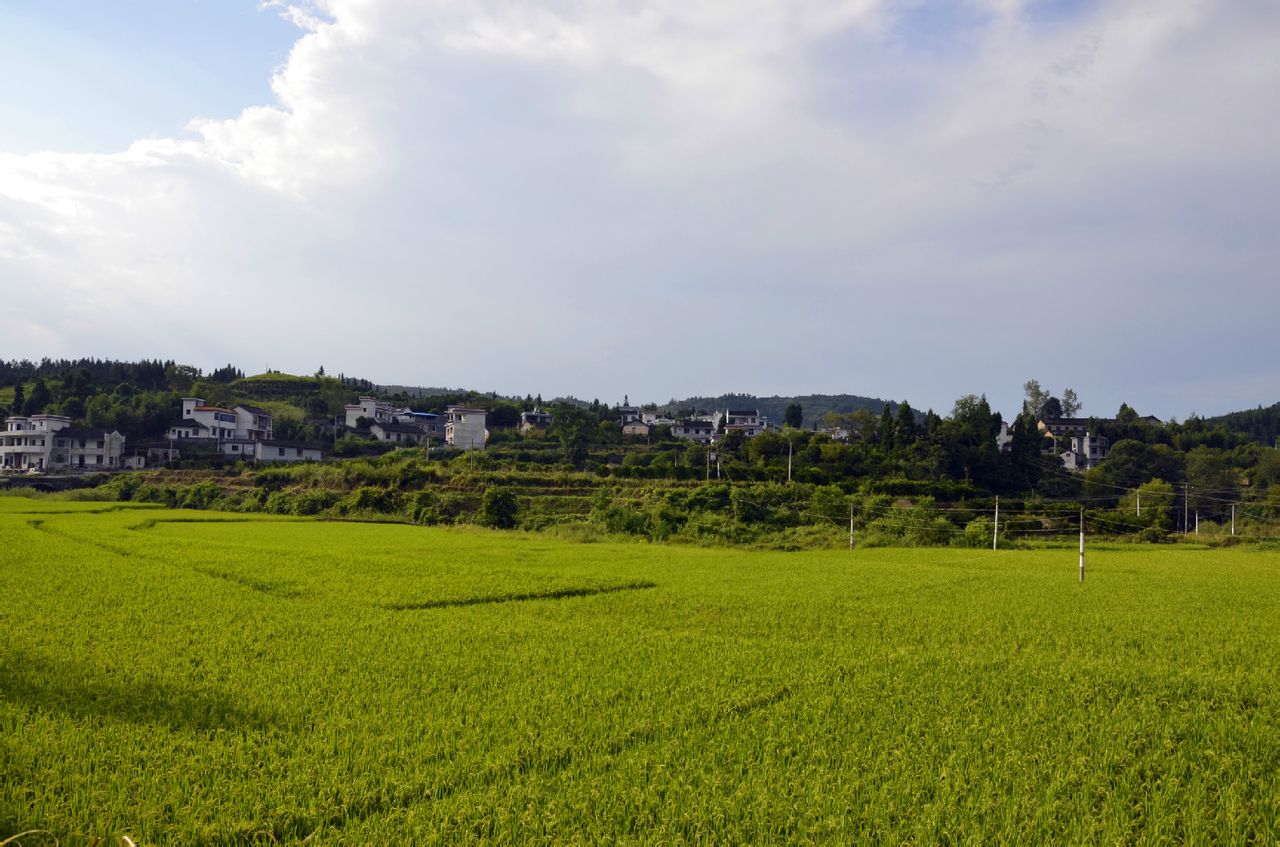 五林村栗上坡