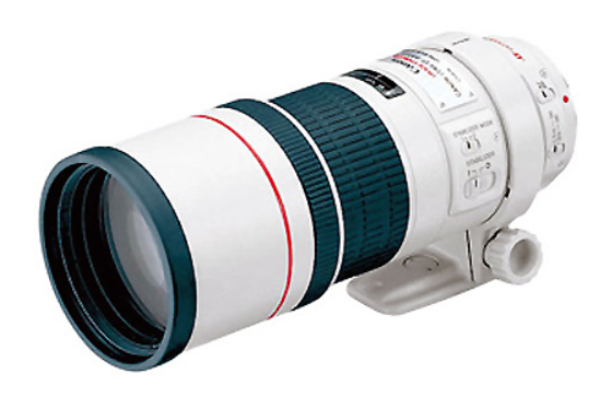 佳能EF 300mm f/4L IS USM（佳能專業L級鏡頭）