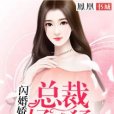 閃婚嬌妻：總裁好兇猛