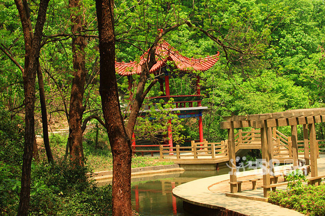 南陽西峽寺山國家森林公園