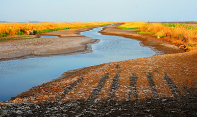 湖沼