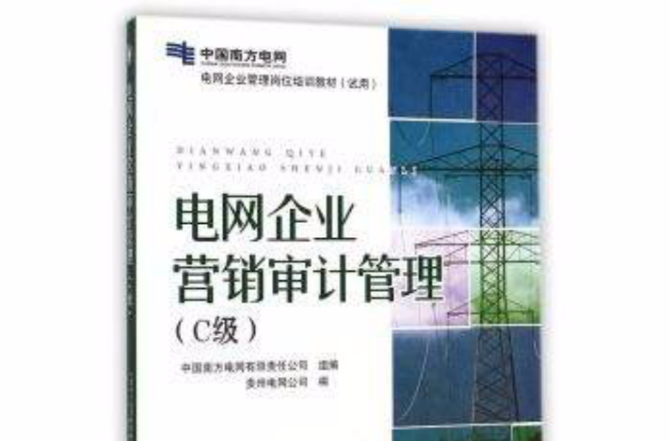 電網企業管理崗位培訓教材·電網企業信息審計管理