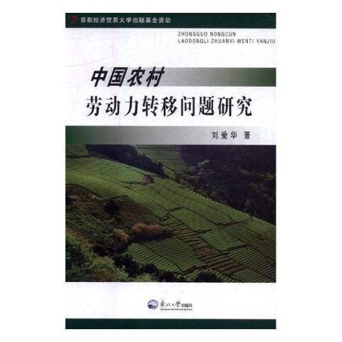 中國農村勞動力轉移問題研究