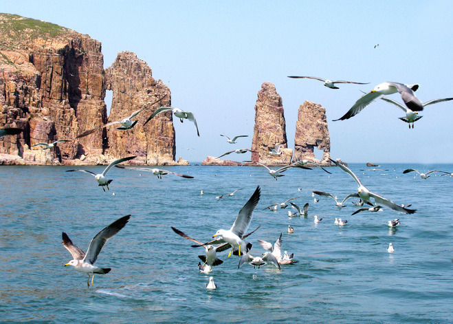 鳥島(廟島列島車由島鳥島)