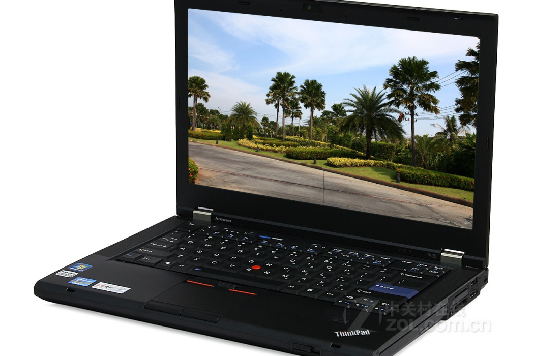 ThinkPad T420(4180N5C)