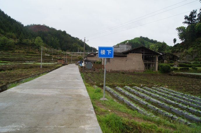 樓下村(福建省政和縣楊源鄉)