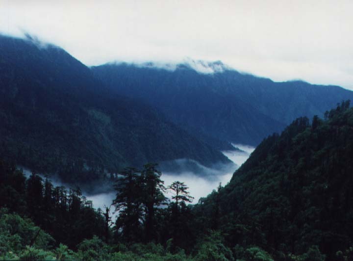 黑竹溝風景區(樂山黑竹溝)