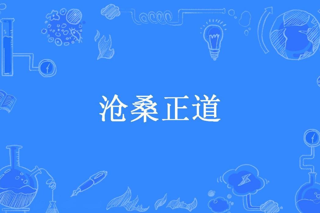 滄桑正道(楓嵐所著小說)