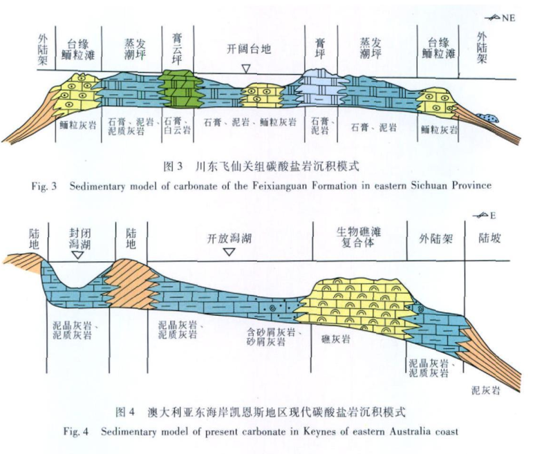 碳酸鹽岩台地