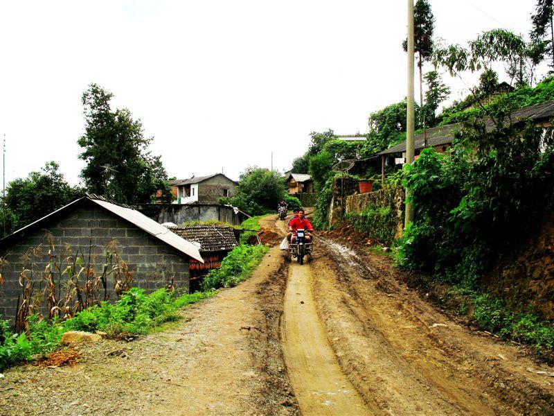 進村道路