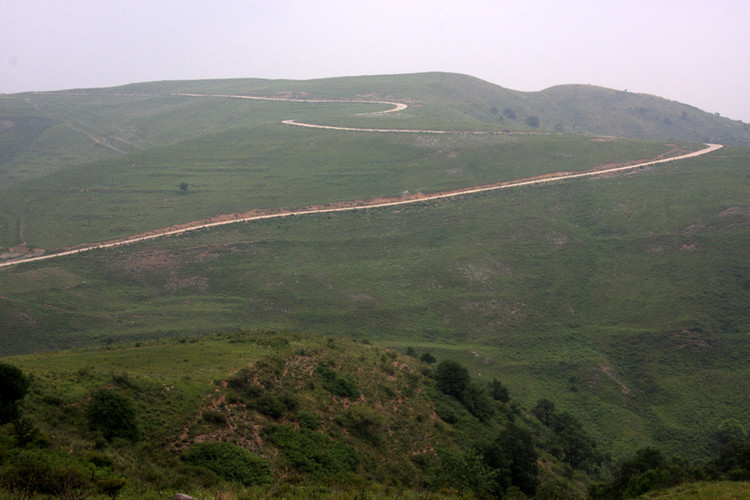 花家坡村