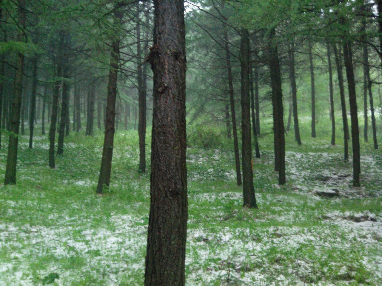 崇禮翠雲山