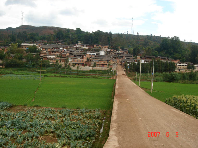 進村道路