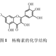 楊梅樹皮素