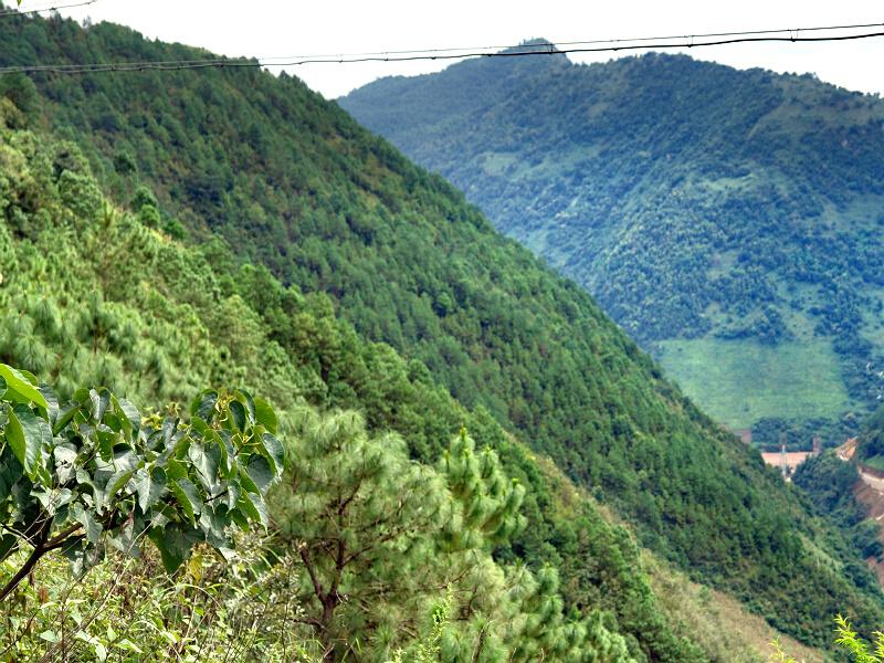 犁巴沙村生態山林