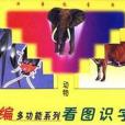 看圖識字卡片動物