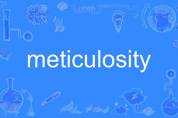 meticulosity