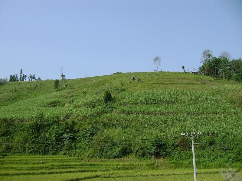 白馬頭村