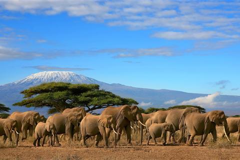 洛克薩哈奇國家野生動物保護區