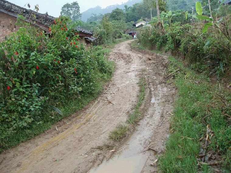 登東自然村