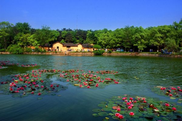 花明樓景區(長沙市花明樓景區)