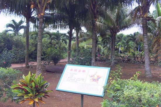 定安縣萬嘉果熱帶植物園