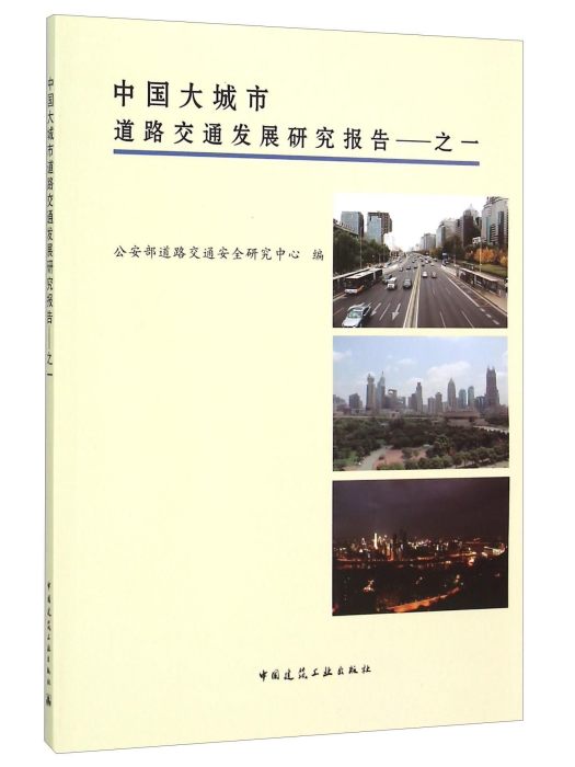 中國大城市道路交通發展研究報告之一