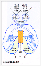 普羅賽安潛能開發機