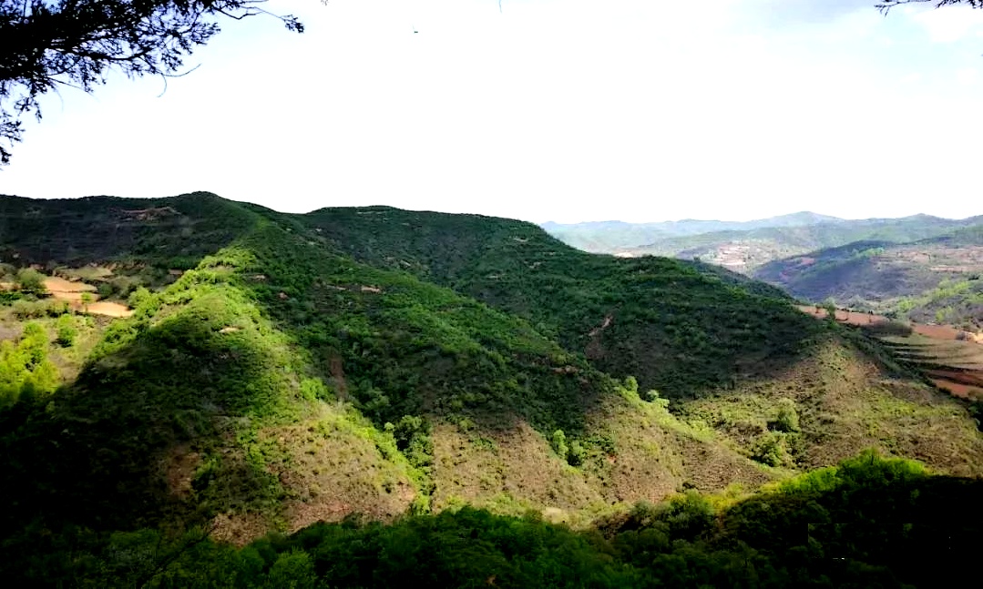 千陽縣北部高崖鎮一帶山嶺