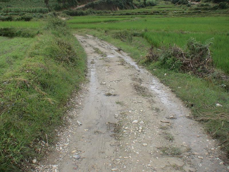 通村道路