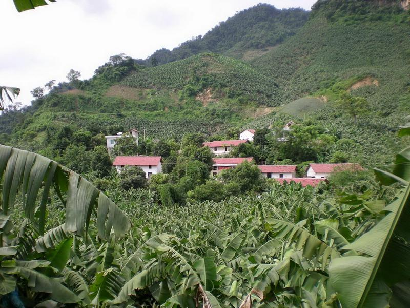 白岩腳村(雲南紅河州河口縣南溪鎮下轄村)