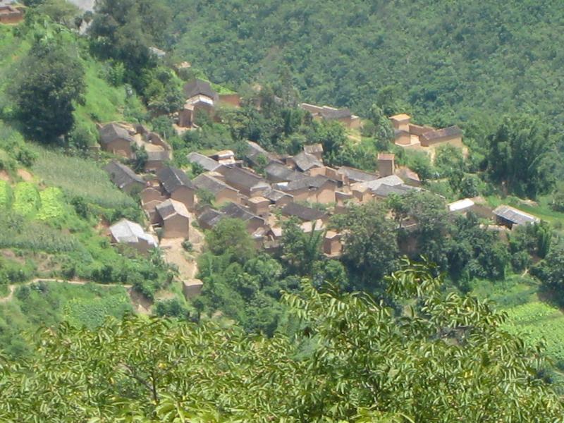 水井邊大青樹村