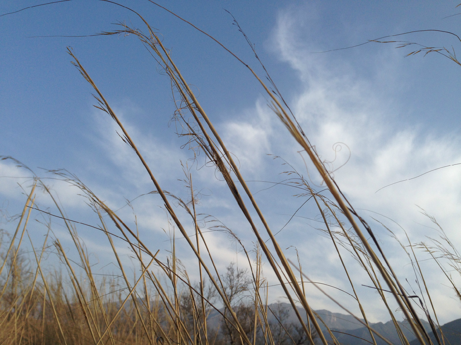 西辛窯村