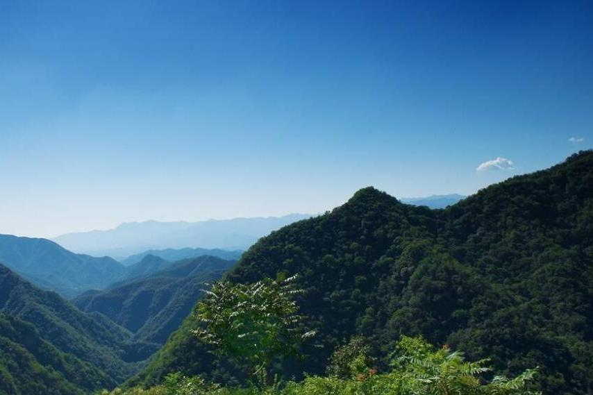 老豆垛山