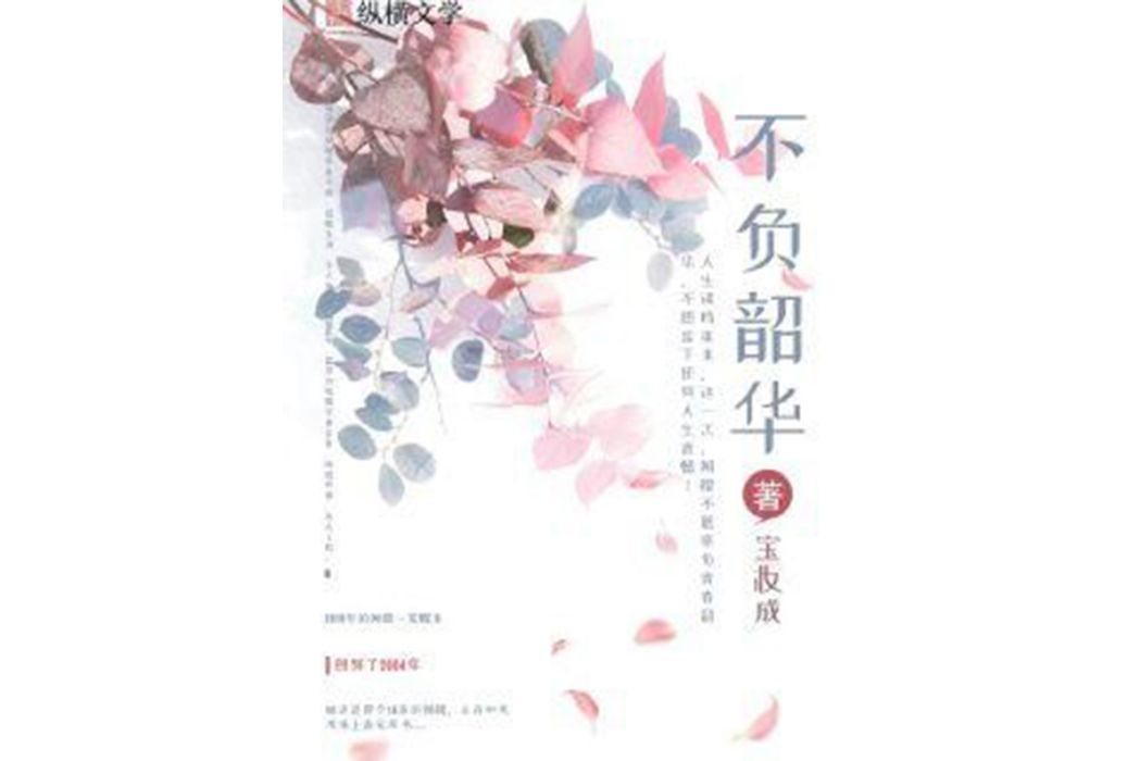 不負韶華(寶妝成所著小說)