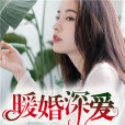 暖婚深愛(子葉與你創作的網路小說)