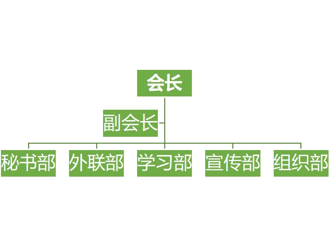 梧州學院電商學會組織結構圖