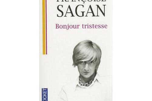 bonjour tristesse(2009年Pocket出版的圖書)