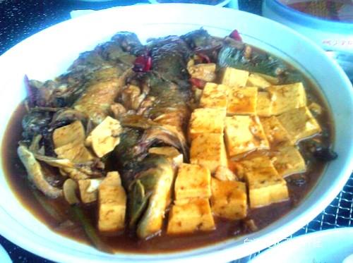 鯰魚燉豆腐