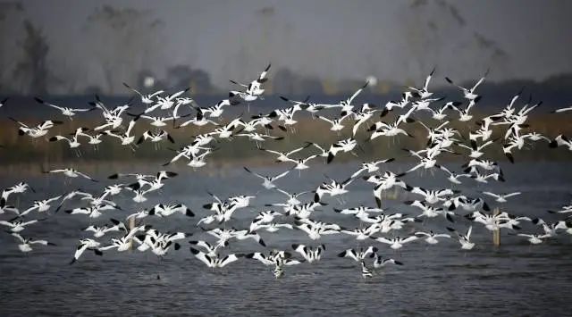 杭州市錢塘大灣區濕地公園