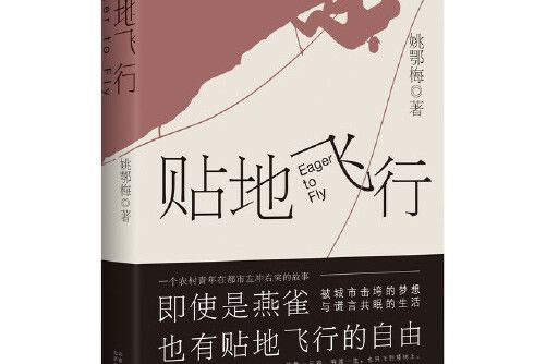 貼地飛行(2018年北京十月文藝出版社出版的圖書)