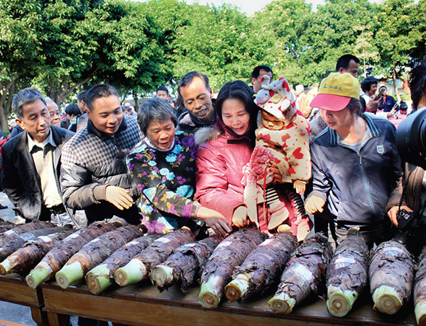 村民圍觀炭步檳榔香芋