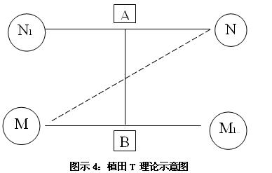 植田T理論