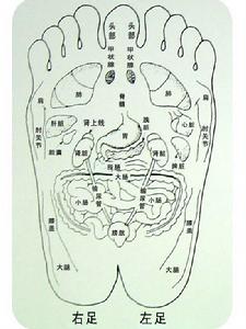 熱毒壅滯證