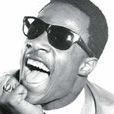 Steve Wonder