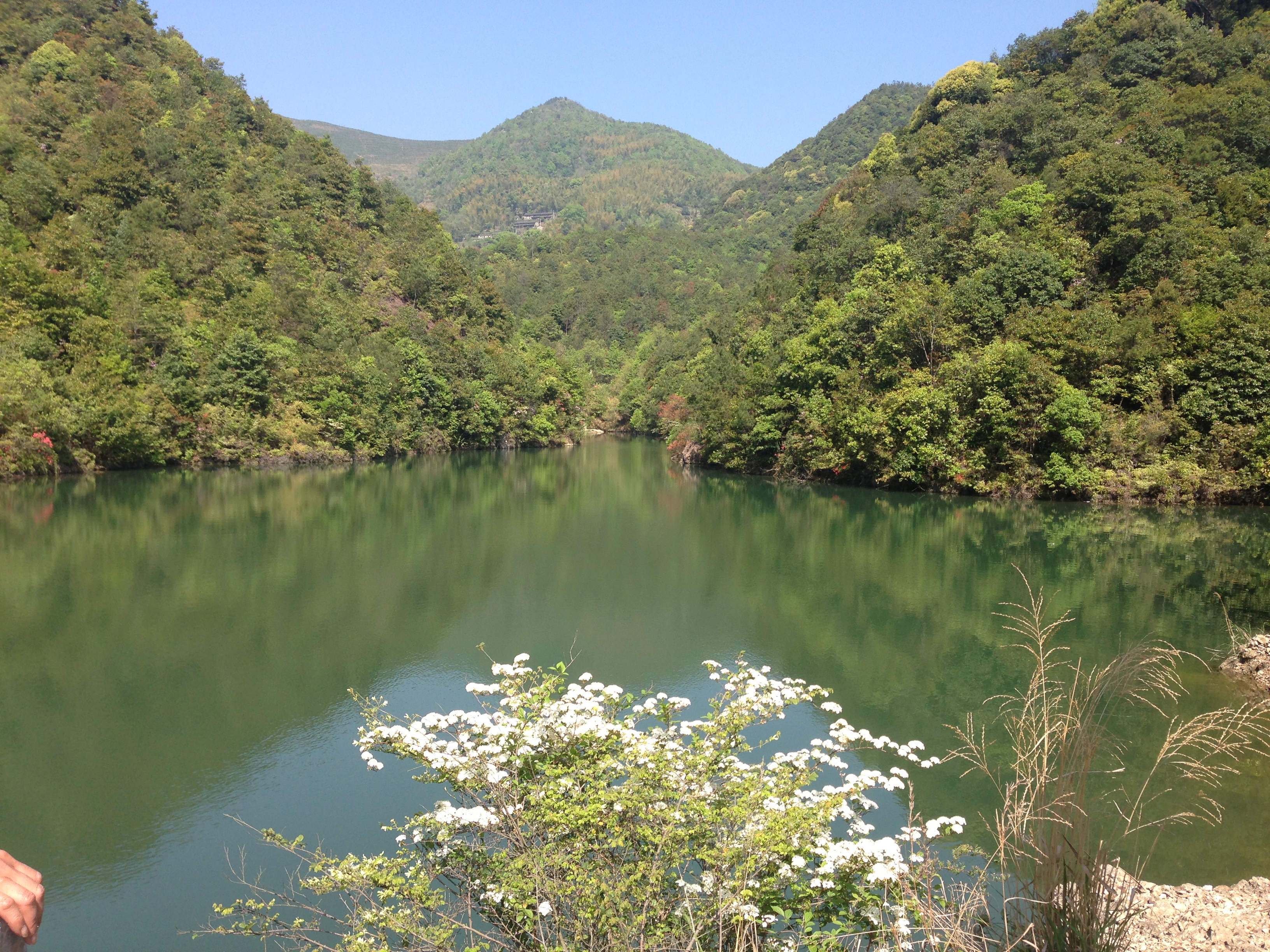 塘山村