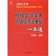 全國會計專業技術資格統一考試：初級會計實務