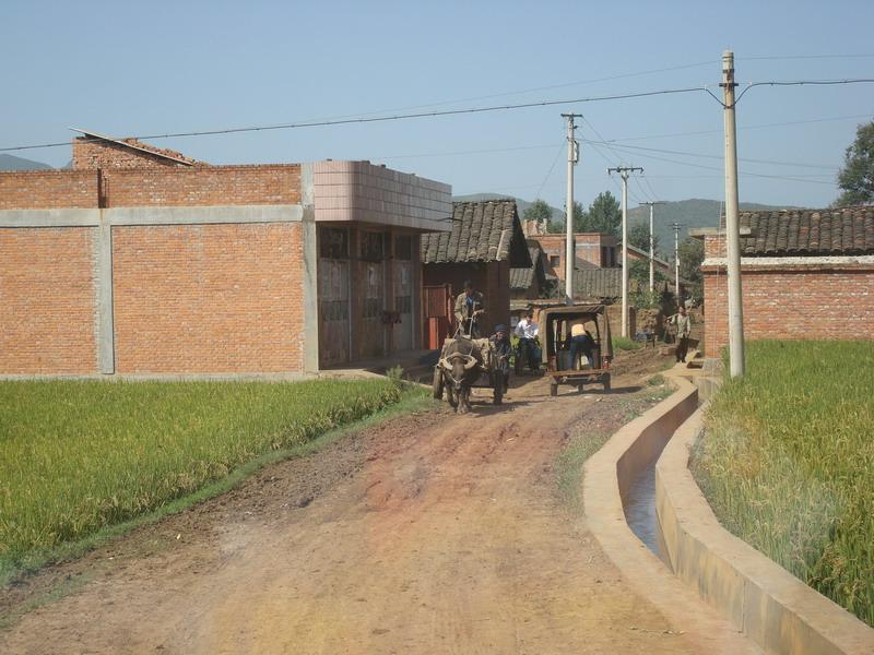 中河村(雲南省昭通昭陽區樂居鄉下轄村)