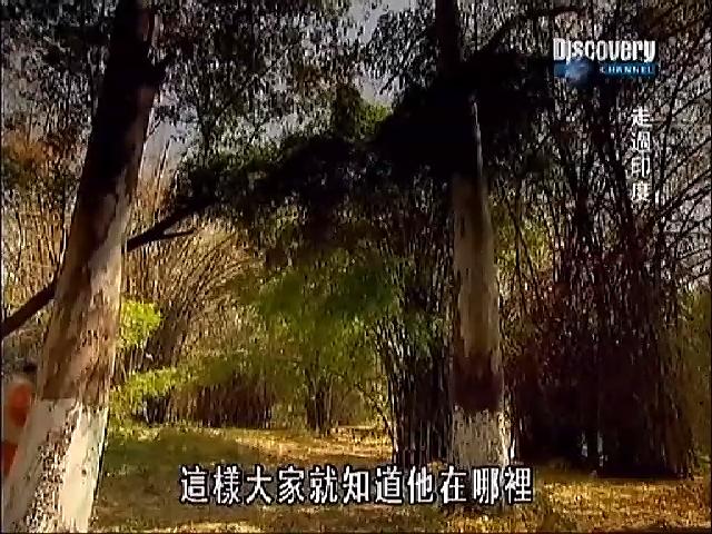 走過印度：思想的力量