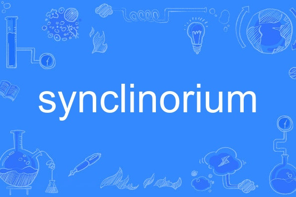 synclinorium